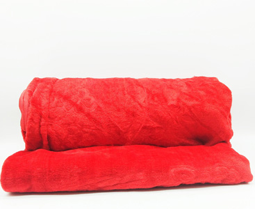 Blanket - 1371